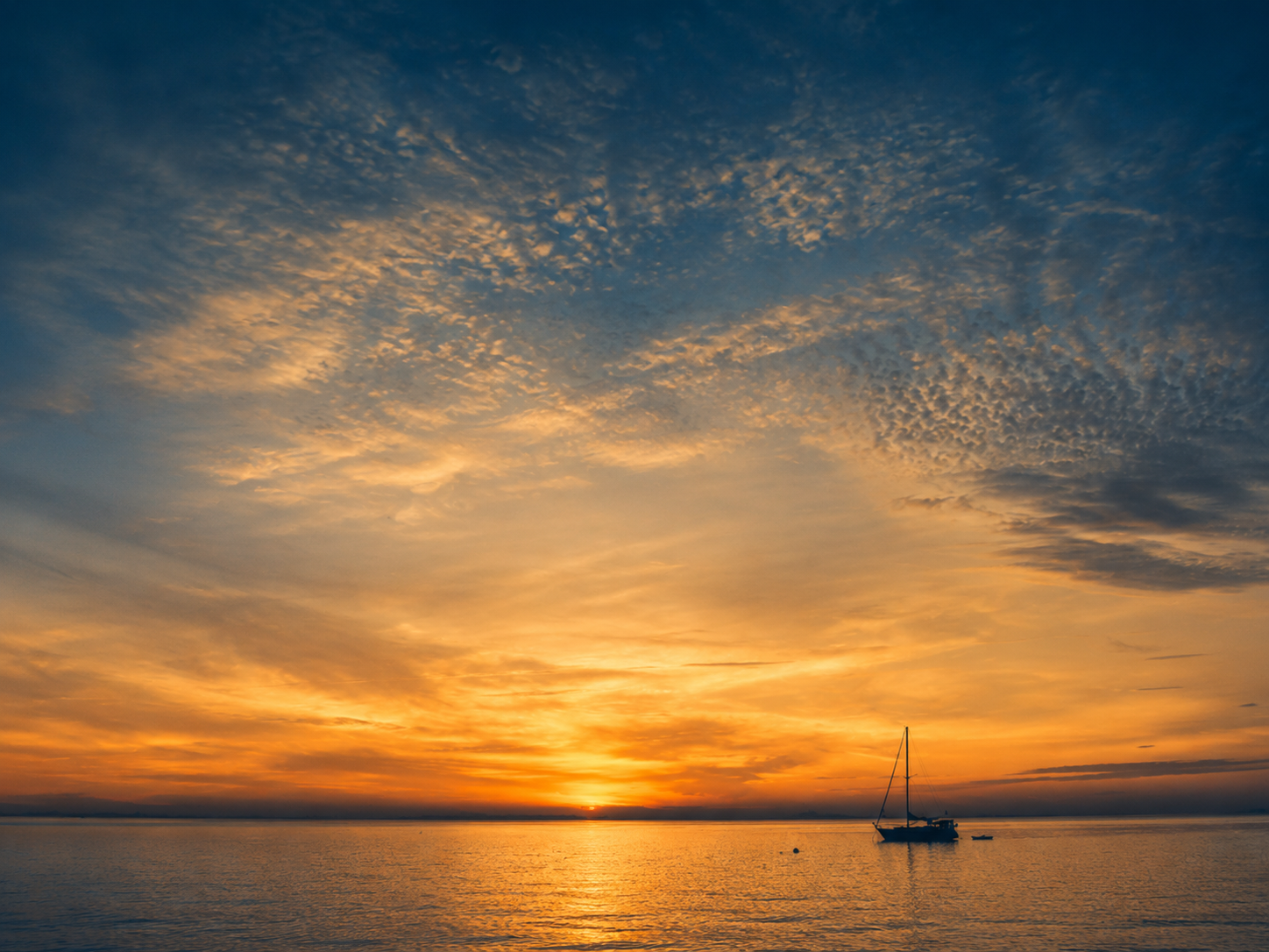 Sailboats docked at Willoughby Marina in Norfolk, Virginia, the departure point for Sail Virginia Yacht Charters